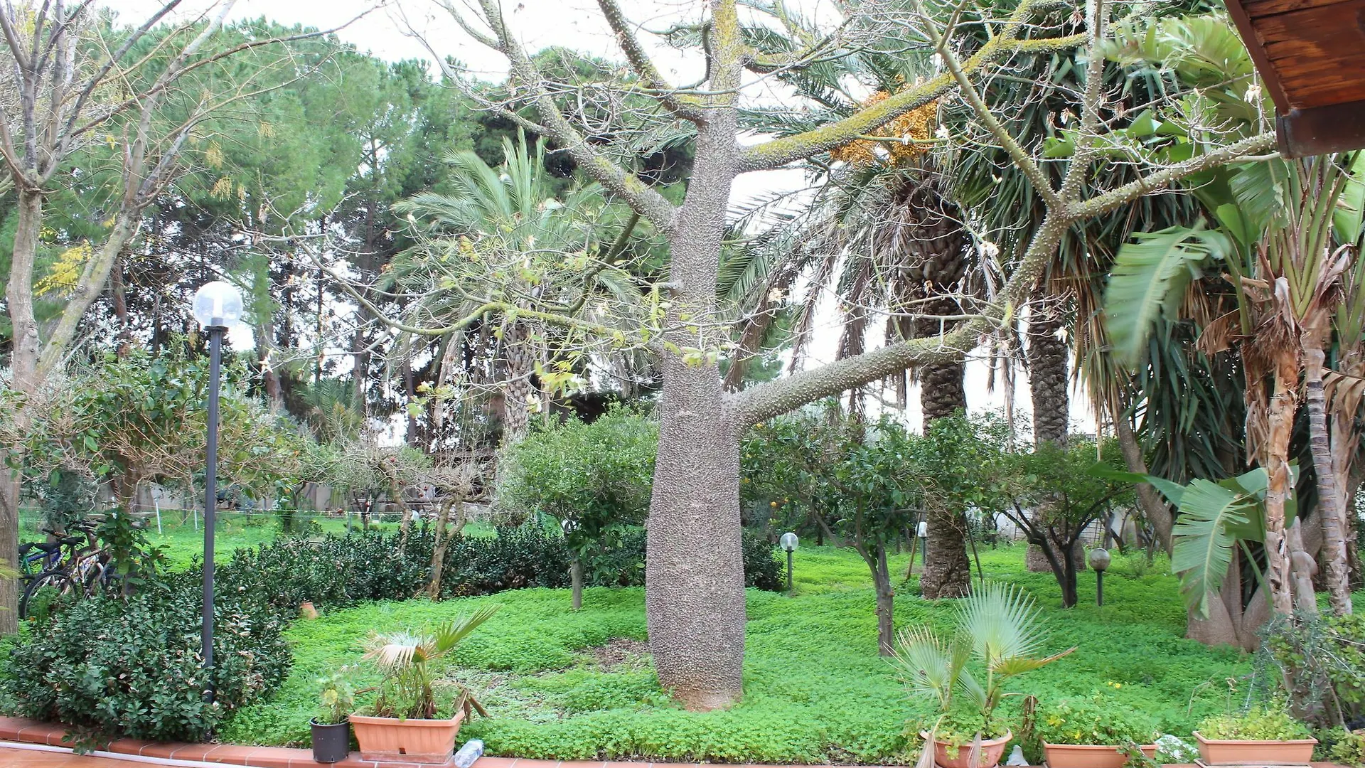 Villa Delle Nifee Mazara del Vallo